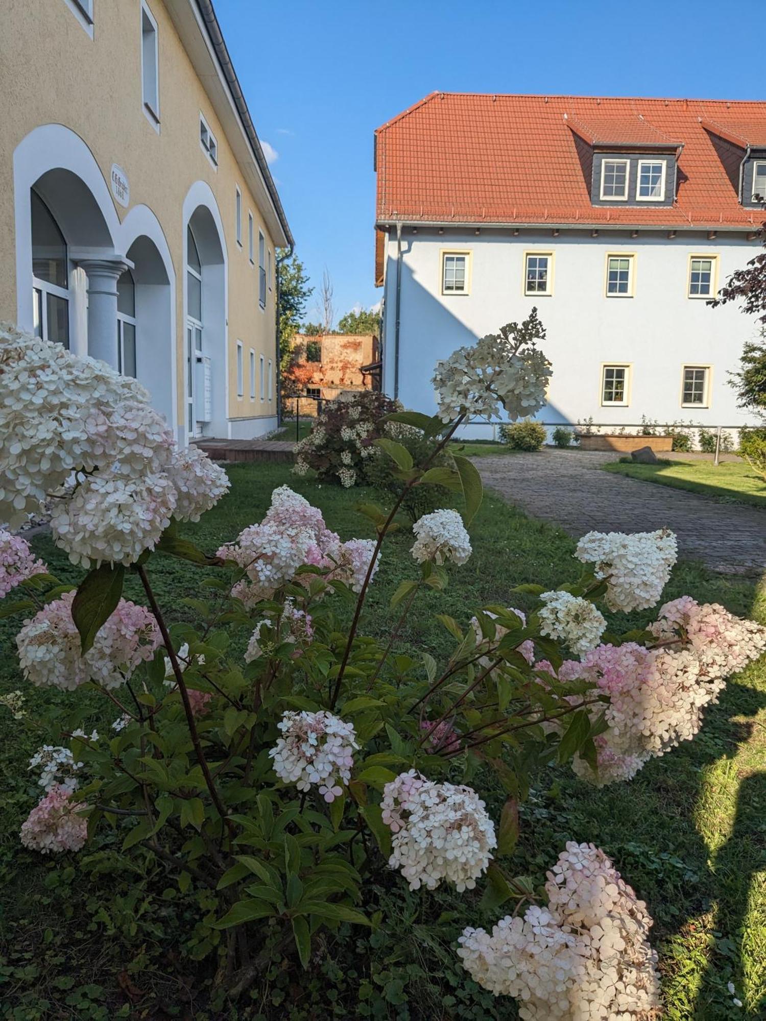 Hof Gruebler Apartment Klipphausen Екстериор снимка